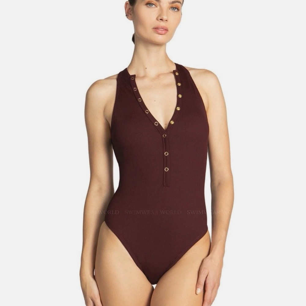 Robin Piccone Amy  Maroon One-Piece Swimsuit